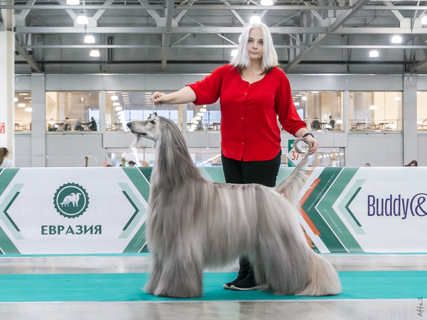Eurasia 2024