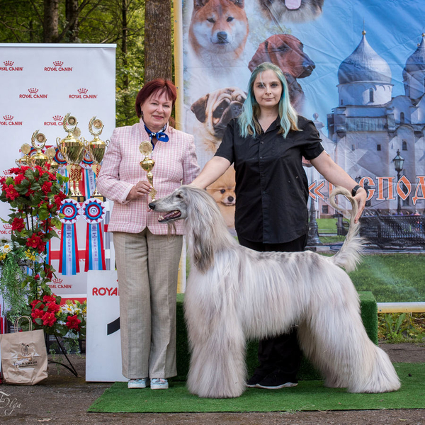 Veliky Novgorod 2021 CACIB