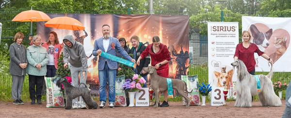 DogCity party 2022