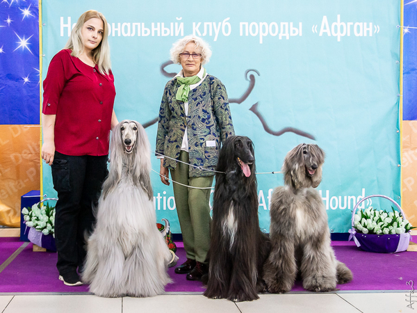 National speciality 2022 & CAC Moscow