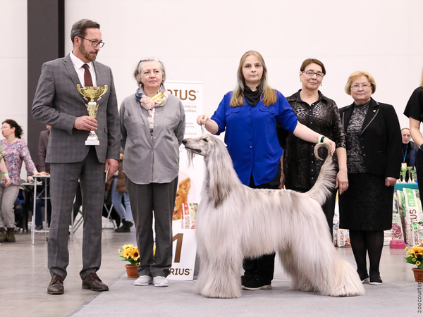 CAC StPetersburg