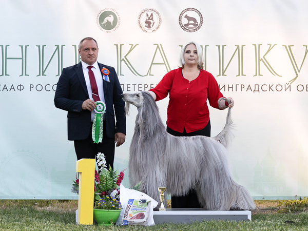 CAC StPetersburg