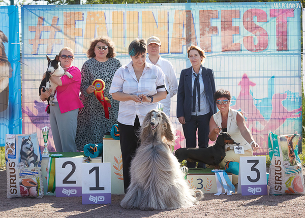 DogCity party & Fauna fest 2023