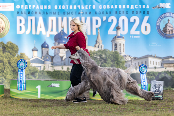 Vladimir Golden ring 2026 ranking