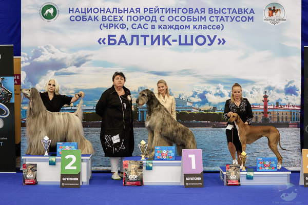 Baltic show 2024 ranking
