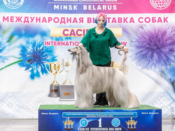 Belarus cup 2023 CACIB