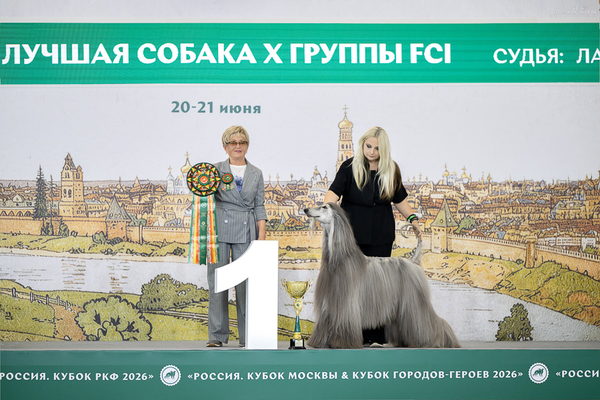 Russia 2026 ranking