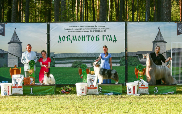 Pskov souvenir 2025 ranking