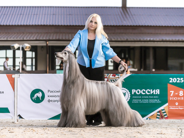 Russia 2025