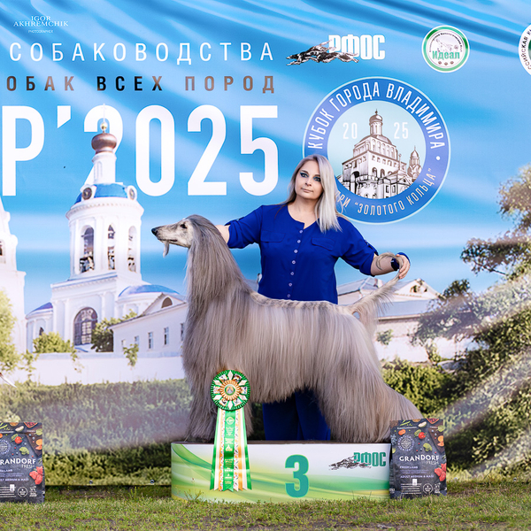 Vladimir Golden ring 2025 ranking