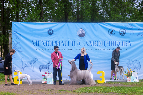 Zavodchikov memorial 2025 ranking