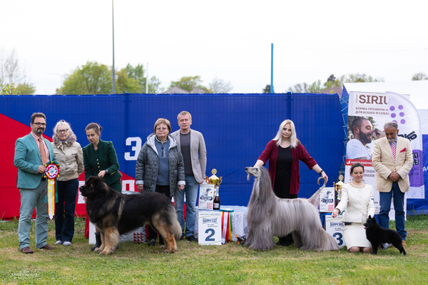 Vyborg 2025 ranking
